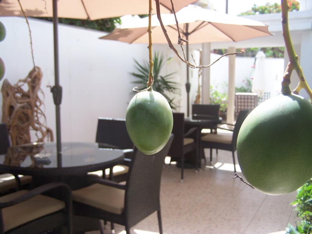 Villa Mermoz Dakar Esterno foto